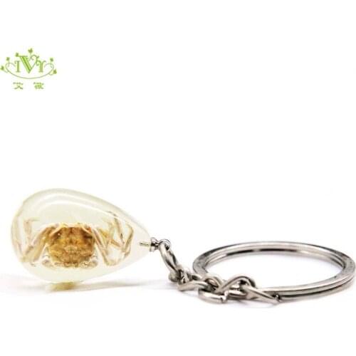 2019 New Luminous Water Drop Key Ring Charming Glow In Dark Mini Real Crab Insect Vogue Key Chain Llaveros Para Hombre Wholesale