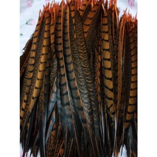Wholesale perfect 10pcs high quality natural orange Lady Amherst Pheasant Feathers 12-14inch/30-35cm Decorative diy