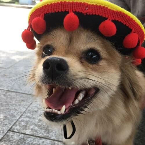 2 Styles Pet Dog Sun Hat Beach Party Straw Sombrero Lace Stripes Hat Mexican Denim Style Cute Washable Pet Hat Products