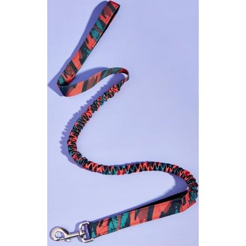 Flexible Bungee Dog Leash with Durable Shock Absorbing Control and Metal Buckle & Double Handle to Safety