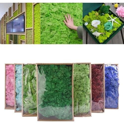 40g Artificial Plant Eternal Life Moss Mini Garden Micro Landscape Accessories Home Wedding Decoration Wall DIY Flower Material