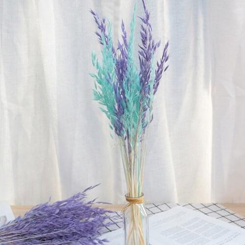 Dried Natural Plant Oats Branch,Real Dry Eternal Ears of Wheat Flower Bouquet For Home Room Decor,Wedding Decoration 25PCS