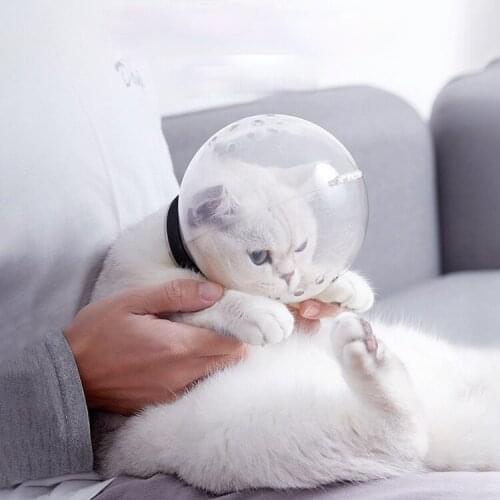 Breathable Grooming Muzzles Cat Muzzle Anti Bite Cat Bath Grooming Mask Anti-Licking Protective Space Hood Pet Mask Cover