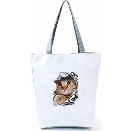 Breaking The Wall Cat Printed Storage Handbags Cute Animal Lady Large Capacity Reusable Shoulder Shopping Bag Student Lunch Bag