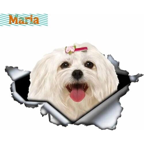 Cute Maltese Car Sticker Pet Dog 3D Car Decoration Torn Metal Decal Sunscreen Sticker JDM JEEP Van Bike Offroad RV A4 Q3 Polo