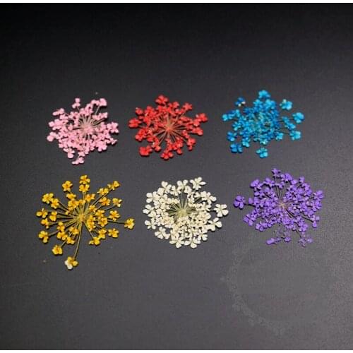 Small packs blue real dry pressed flower craft for DIY glass dome resin filling pendant charm 1503172