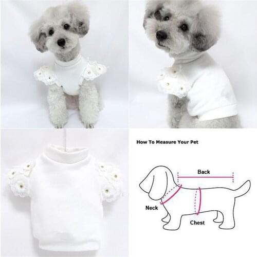 Winter Dog Shirt Small Dog Hoodie Cat Yorkshire Pomeranian Poodle Bichon Schnauzer Costume Pet Dog Clothes Puppy Clothing Coat