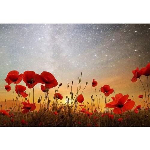 FULL diamond embroidery 3D Diy Diamond painting Wild poppy flower cross stitch kits mosaic pattern resin drill picture AS496