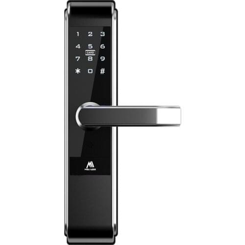 Electric Door Closer, Biometric Intelligent Door Closer For Chaveiro, Aco Inox 304 Fechaduras Biometricas Para Casas