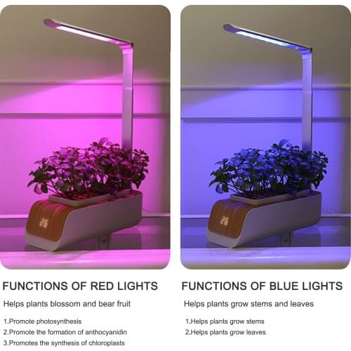 2021 New Indoor Hydroponics Growing System Herb Garden Kit with Grow Light Smart Garden for Home and Kitchen Indoor Plant Grower