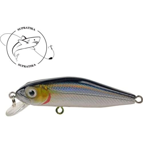 Artificial Mini Minnow Floating Freshwater 6CM/4.5G Plastic Fishing Bait 3D Eyes Diving Depth 0.5M Fishing Lure Hard Bait