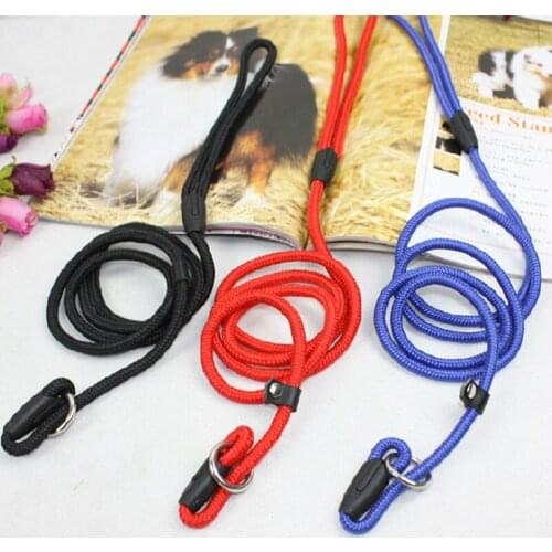 Nylon Dog Training Leash Dogs P Chain Slip Collar Walking Leads Rope S M L For Small Medium Breeds Chihuahua Teddy