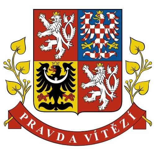 Presidential Standard of the Czech Republic Flag 90*150cm Custom flag outdoor