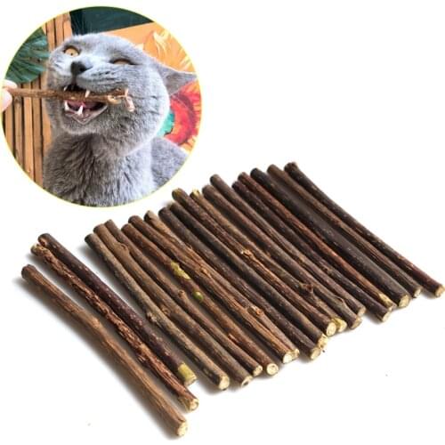 Natural Catnip Pet Cat Molar Toothpaste Stick Matatabi Actinidia Fruit Silvervine Cat Snacks Sticks Pet Cleaning Teeth