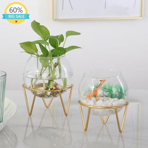 Transparent Glass Modern Fashion Nordic Vase Simple Small Office Table Creative Flower Stand Metal Floreros Room Decor AH50VS