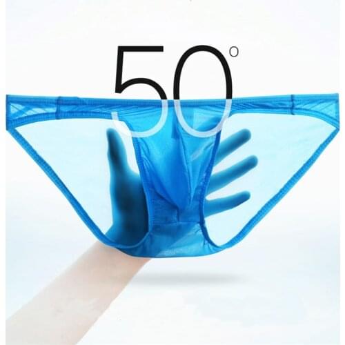 Sexy Men Underwear See Through Mens Briefs Breathable Low Rise Underpants Cueca Masculina Penis Pouch Male Slip Homme Panties