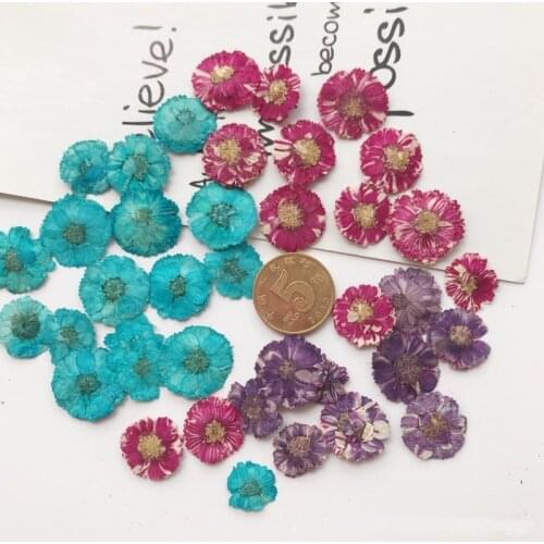 120pcs Mini daisies Pressed Press Dry Flower Plants For Epoxy Resin Pendant Necklace Jewelry Making Craft DIY Accessories