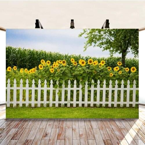 Blue Sky White Clouds Sunflower Cornfield Scenery Picture Background Studio Photography Photo Cloth Can Be Customized