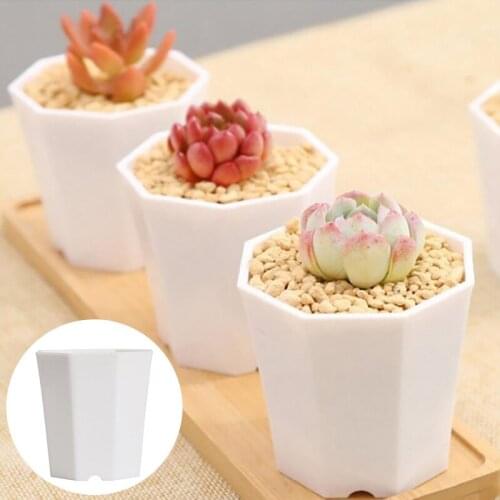 5Pc Octagonal Vientiane Pot High-waisted Phalaenopsis Special Plastic Flower Pot Creative Succulent Green Plant Small Flower Pot