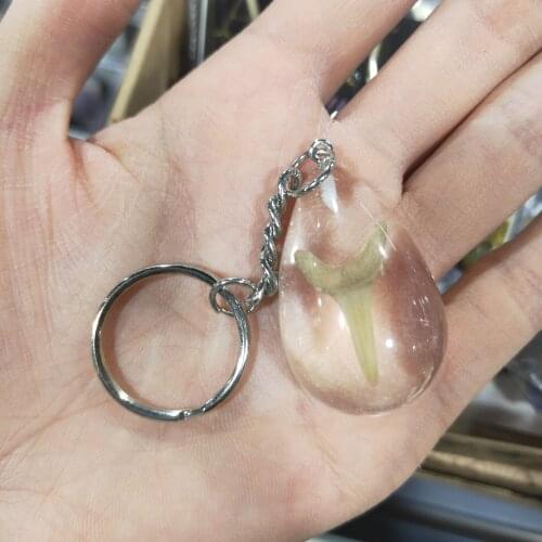 1pcs Resin shark tooth key ring key Chain Silver Color Men Car Gift Keychain Dropshipping