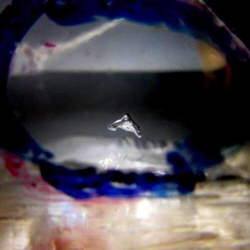 122g Water Clear Smoky Elestial Skeletal Quartz Window Quartz Enhydro - crystals and stones healing Mineral specimen Home Decor