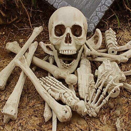 1 Set Halloween Ornaments Eye-catching Shatterproof Plastic Broken Bones Horror Haunted House Props Party Halloween Decorations