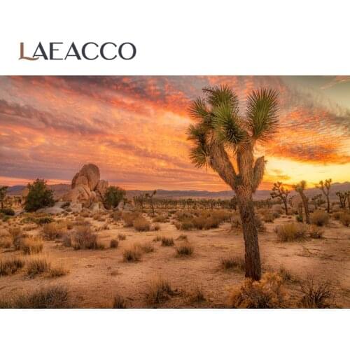 Laeacco Nature Backgrounds Cactus Desert Sunset Shrub Stone Aurora Scenic Photographic Backdrops Photocall Photo Studio