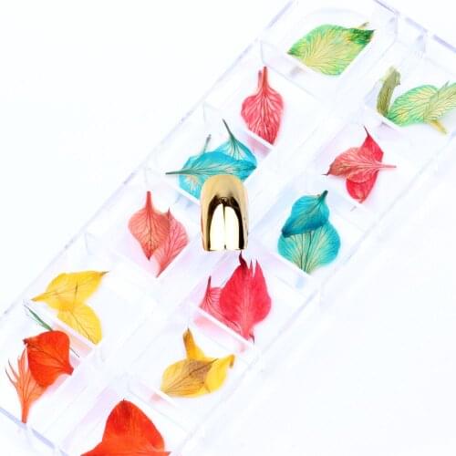 Petals 6 Colors and snowflake 12 Colors shapes 3D Dry Flowers Stickers Dried Nail Art Decoration DIY Manicure Tools w/box 24pcs
