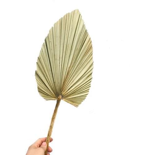 Hand Made Fan Mosquito Repellent Fan Summer Manual Straw Hand Fans Palm Leaf Woven Fan DIY Woven Cooling Fan Home Decoration
