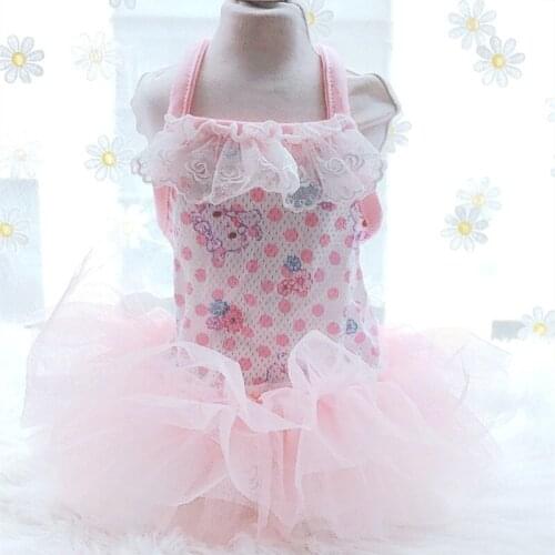 Summer Dog Lace Dress Cat Puppy Tutu Skirt Yorkshire Pomeranian Corgi Maltese Bichon Poodle Schnauzer Clothing Pet Clothes 2021