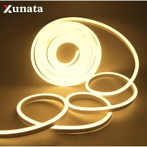 Neon Light 220V 2835SMD Led Flexible Strip Light Neon Sign Remote Control Neon Rope Light 120Leds/m Waterproof Led Light Strip