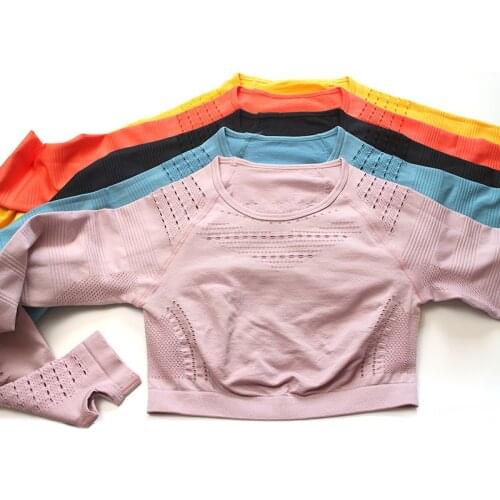 Women Mesh Seamless Yoga long Sleeve Sports Yoga Shirts Female Gym clothing workout Running Shirts Fitness Sports Tank Crop Tops