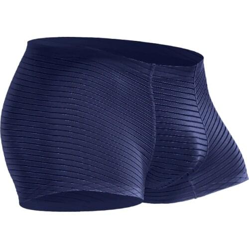 Mens Boxers Sexy Gay Underwear Seamless Panties Man Transparent Ice Silk Boxershorts Mesh Pouch Penis Male Underpants Plus Size