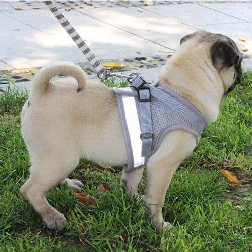 Pet Harness for French Bulldog Small Medium Dogs Leashes Pug Puppy Frenchie Pet Harness Vest Walking Dog Lead Leash Pet Products