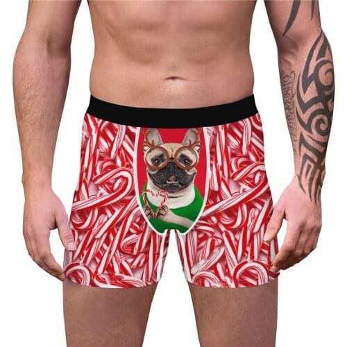 Novelty Boxer Shorts Panties 3D Funny Print Brand Underpants Breathable Christmas Holiday Boxer Brief Humorous Underwear