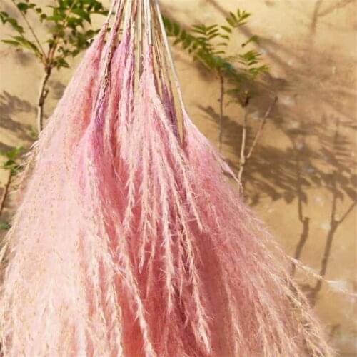 25pcs Wedding decor flower pink pampas grass natural dry flower bunch homestay prop flowers