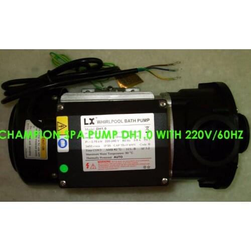 Hot Tub Circulation Pump DH 1.0 Whirlpool Chinese Jacuzzi Whirlpool Spa Parts filter pump 1 HP 0,75 KW spa hot tub with fittings