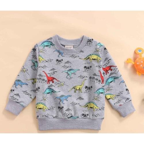 Childrens Little Boys Hoodie, Toddlers Cartoon Dinosaur Printing Long Sleeve Round Collar Tops Casual Clothes 2021 New Fashion