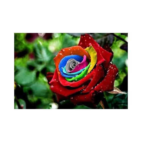 Rainbow Flowers Diamond Painting Kit - DIY Rainbow Flowers-16