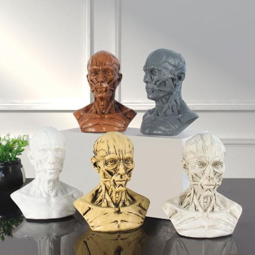 Home Decor Nordic Decoration Resin Statue Sculpture Simulation Sketch Skull Model Ornaments Art Props Muscle Anatomy Medicine