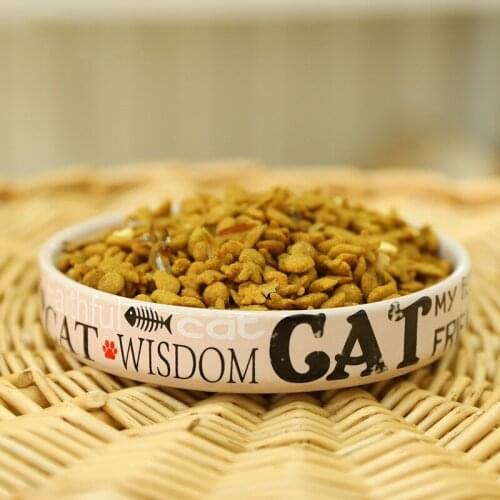 Hot Sale Pet Products Bowl For Dogs Accessories Ceramic Basin Of Cat Feeder Dishes For Dogs Food Container Protect The Cervical