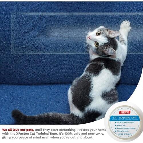 HobbyLane Accessories For Cats