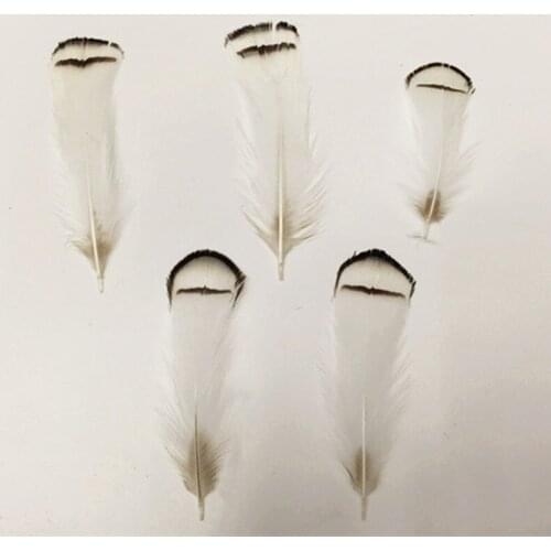 Whosale 200Pcs/Lot 6-10 CM LOOSE Lady Amherst Pheasant Tippet Feathers For Wedding Hats DIY Hair Accessories