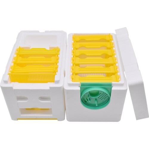 Beekeeping Queen Breeding Rearing Box Beekeeping Supplies Bee Harvest Beehive Foam Double-layer Home Accessories