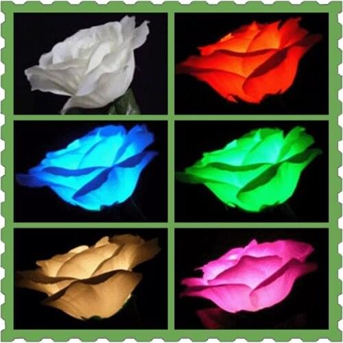 Multicolor Lighting Rose ( Five Colors ) Magic Tricks Color Change Flower Magie Stage Street Illusion Gimmick Props Comedy