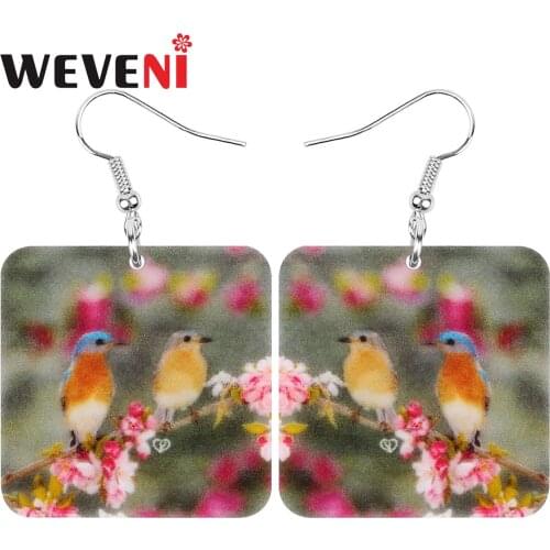 WEVENI Acrylic Square Robin Bird Earrings Charm Flower Cute Animal Dangle Drop Jewelry For Women Teen Kid Charm Gift Accessories