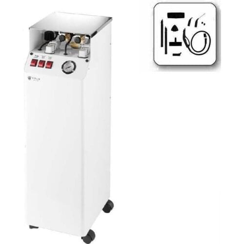 Cleaner Steam Generator 2 Outlets Wheels Professional Cleaning Fabrics Surfaces Automatic Refill AV01P DUAL RA