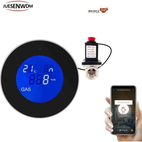 TUYA WIFI Combustible Gas Natural CH4 Leak alarm for protect family safety push alarm notification to APP automatically