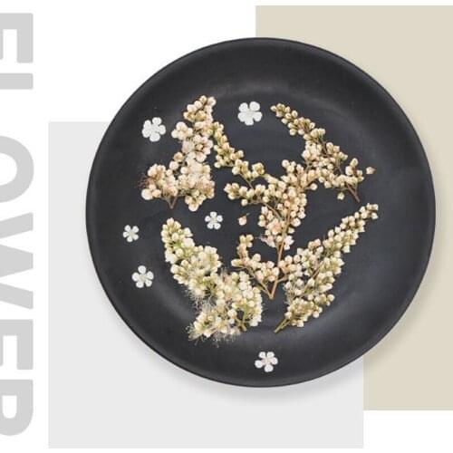 12 pieces of Pearl plum dried flower handmade dried flower bracelet three dimensional dried flower decoration