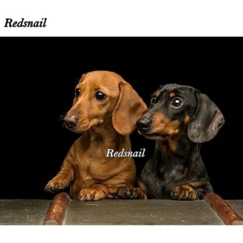 Diy full square round diamond painting Professor Dachshund dog 5d diamond mazayka embroidery crystal diamond animal pet EE099